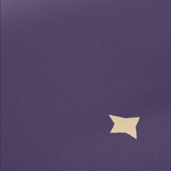 Cartoon Star Symbol Twill