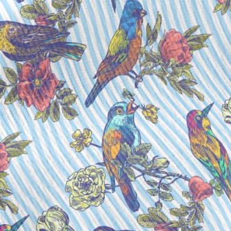 Colorful Bird Courtship Standard Corduroy