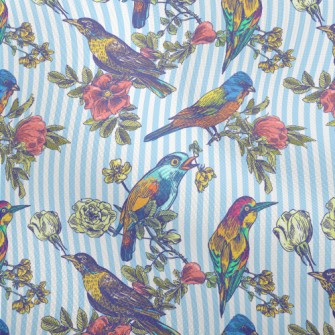 Colorful Bird Courtship Dobby