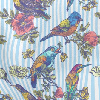 Colorful Bird Courtship Stretch Ponte