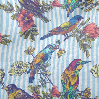 Colorful Bird Courtship Minky