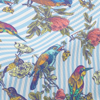 Colorful Bird Courtship Piqué