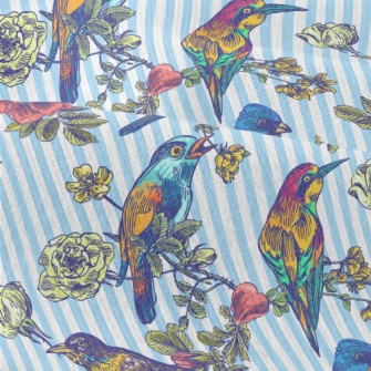 Colorful Bird Courtship Modern Jersey