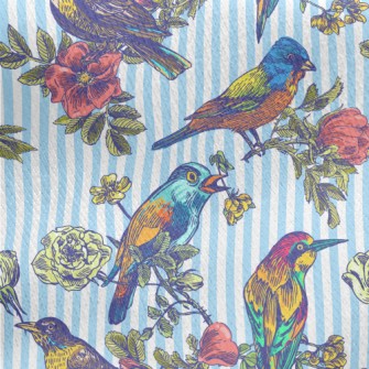 Colorful Bird Courtship Jersey Backed Fleece