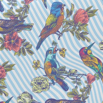 Colorful Bird Courtship Midweight Cotton Poplin
