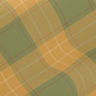 Green And Orange Two-tone Chec Twill