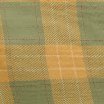 Green And Orange Two-tone Chec Pongee