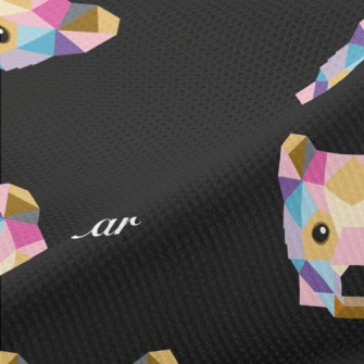 Colorful Block Bear Piqué