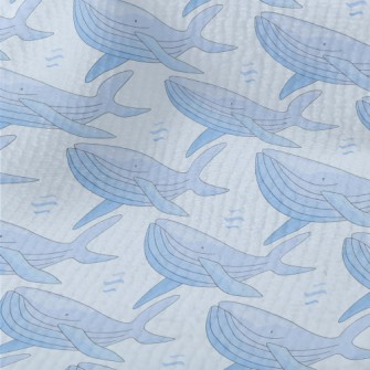 Hand Drawn Whale Illustration Terry