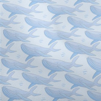 Hand Drawn Whale Illustration Dobby