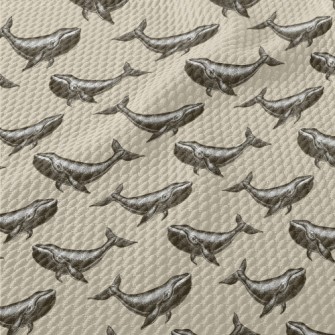 Hand Drawn Realistic Whale Birdseye Piqué