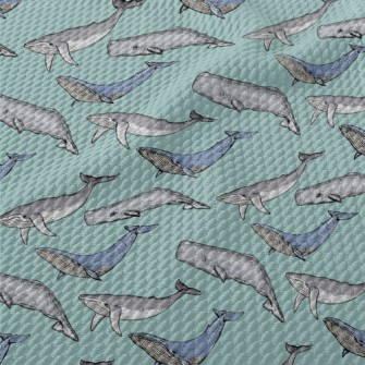 Hand Drawn Whale Family Birdseye Piqué