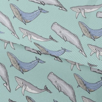 Hand Drawn Whale Family Waterproof Oxford