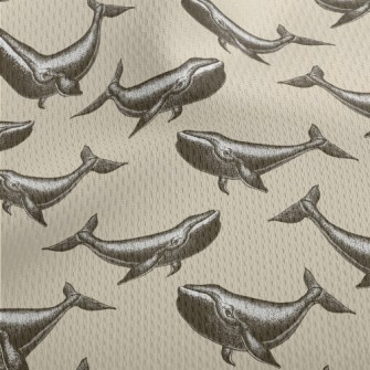 Hand Drawn Realistic Whale Athletic Mesh Flat Back
