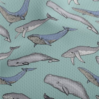 Hand Drawn Whale Family Athletic Mesh Flat Back