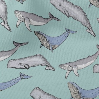Hand Drawn Whale Family Terry