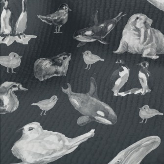 Watercolor Hand Drawn Birds Terry