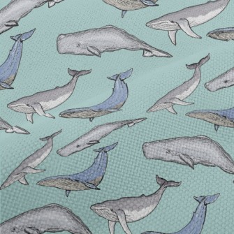 Hand Drawn Whale Family Performance Linen