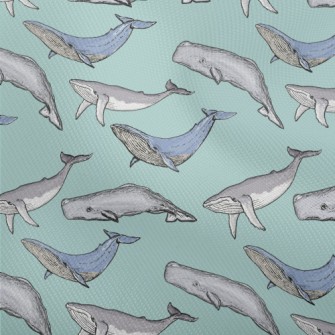 Hand Drawn Whale Family Dobby