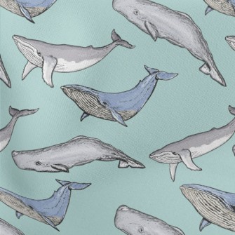 Hand Drawn Whale Family Stretch Ponte