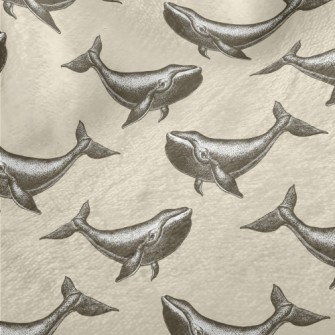 Hand Drawn Realistic Whale Minky