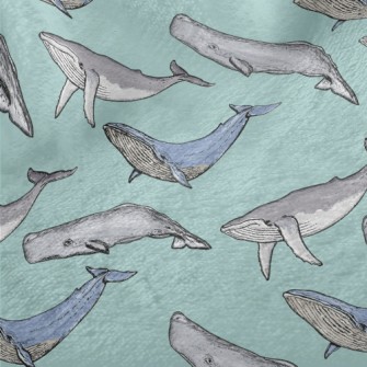 Hand Drawn Whale Family Minky