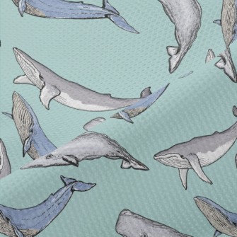 Hand Drawn Whale Family Piqué
