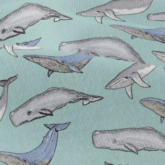 Hand Drawn Whale Family Modern Jersey