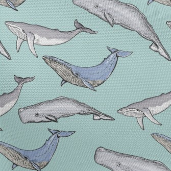 Hand Drawn Whale Family Pongee