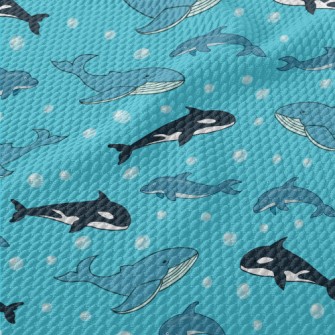 Cartoon Marine Mammals Birdseye Piqué