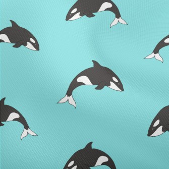 Cute Cartoon Killer Whale Dobby
