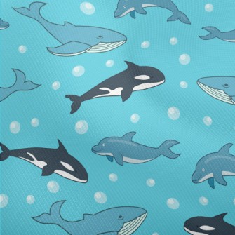 Cartoon Marine Mammals Dobby