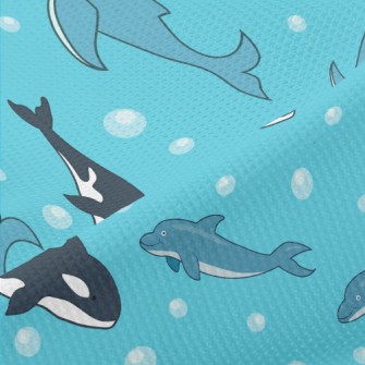 Cartoon Marine Mammals Piqué