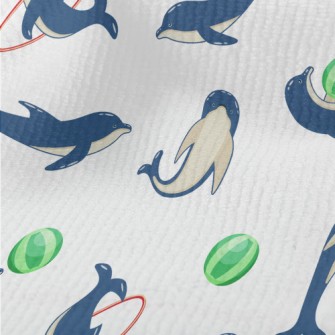 Cute Dolphin Show Terry