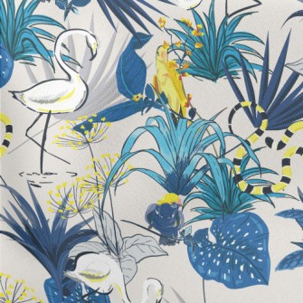 Rainforest Birds Venomous Snak Stretch Ponte