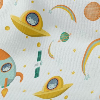 Raccoon Goes To Outer Space Terry