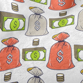 Dollar Banknotes And Coins Minky
