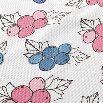 Bicolor Berry Birdseye Piqué