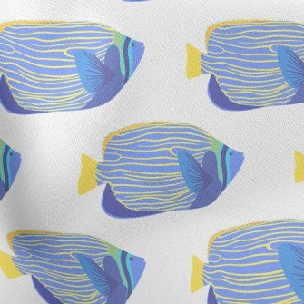Beautiful Underwater Fish Stretch Ponte