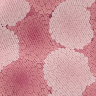 Red And Pink Hydrangea Standard Corduroy