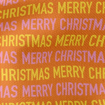 Merry Christmas Text Waterproof Canvas
