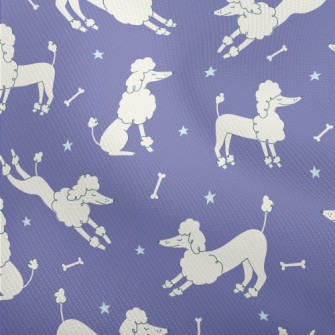 Proud And Elegant Poodle Dobby