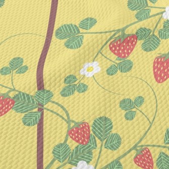 Climbing And Thriving Strawber Birdseye Piqué