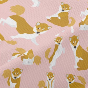 Realistic Color Block Shiba In Piqué