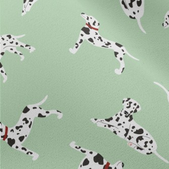 Cute And Gentle Dalmatian Chiffon