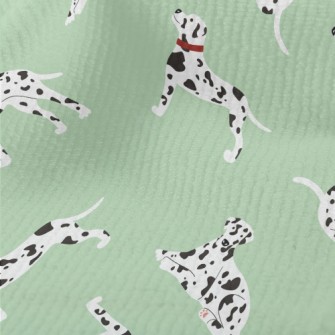 Cute And Gentle Dalmatian Terry