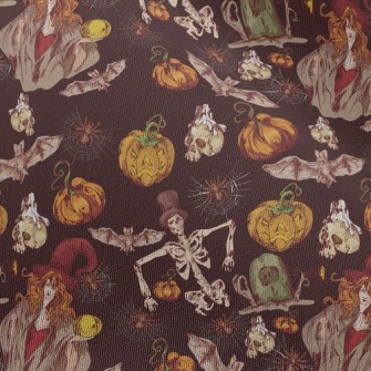 Halloween Witch Chiffon