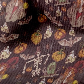 Halloween Witch Terry