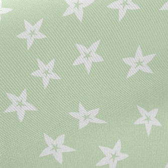 Fresh Carambola Twill