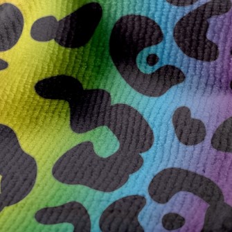Rainbow Gradient Leopard Print Terry